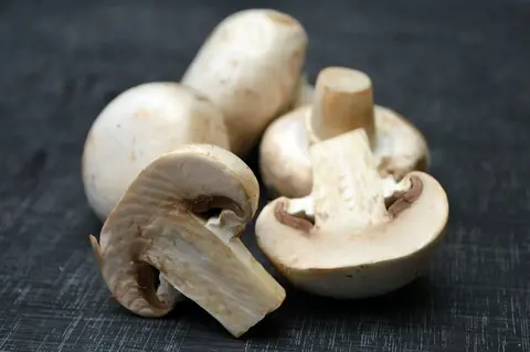 Миллионы на грибах: как неочевидные факты о шампиньонах помогли организовать уникальный бизнес