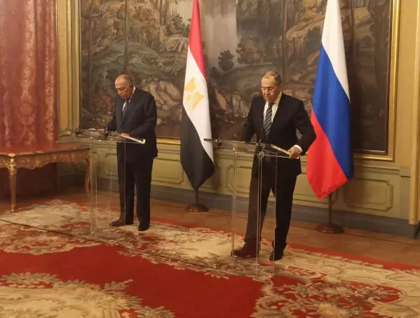 Египет заинтересован в прекращении конфликта на Украине: Самех Шукри