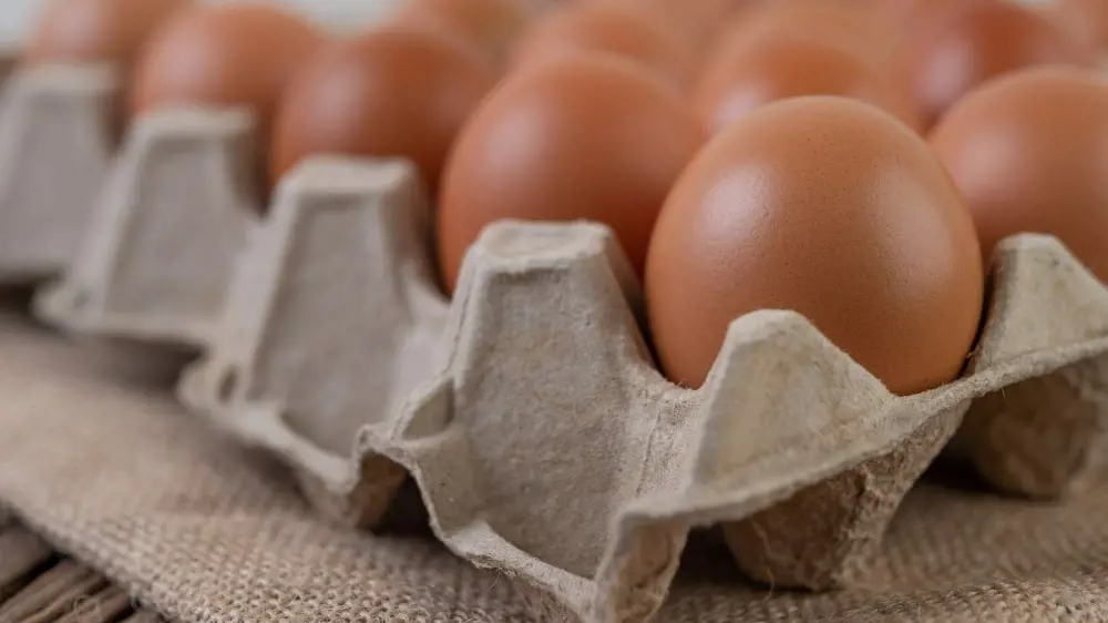 Правительство стабилизирует цены на яйца за счет импорта