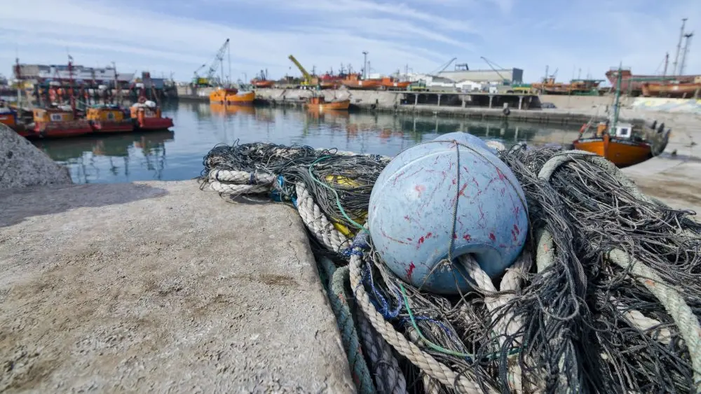 Десятки рыбопромышленных компаний Дальнего Востока могут национализировать по иску Генпрокуратуры